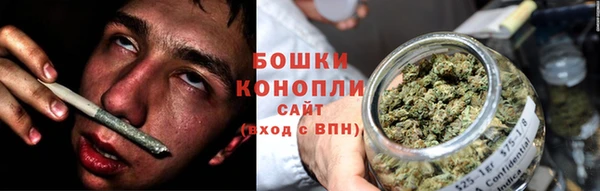 гидропоника Ельня