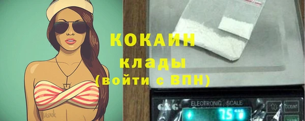 гидропоника Ельня