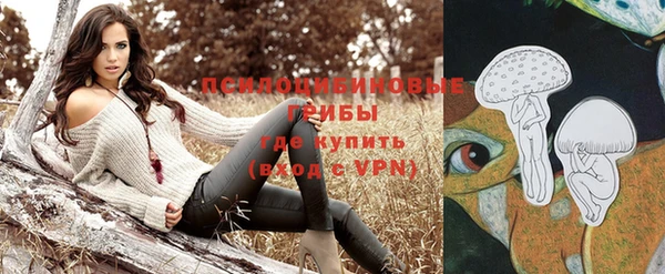 гидропоника Ельня