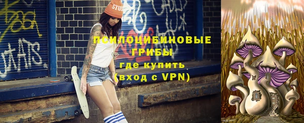 гидропоника Ельня