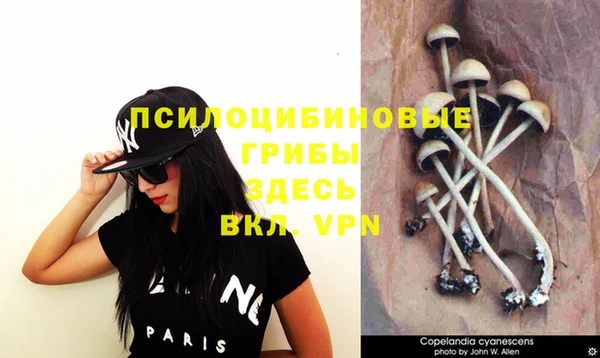 круглые Елизово