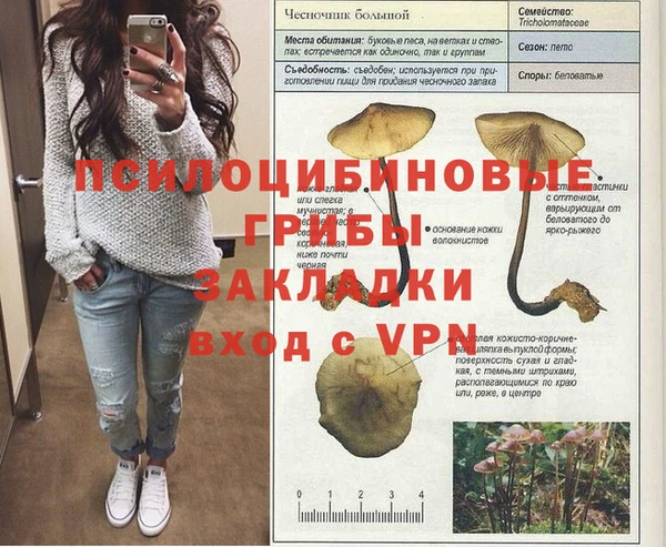 гидропоника Ельня