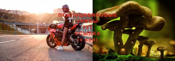 круглые Елизово